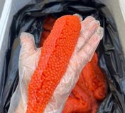 ЯСТЫК ИКРЫ ФОРЕЛИ ОХЛАЖДЁННЫЙ